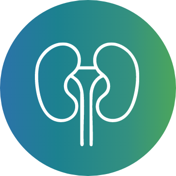 Kidney Ablation