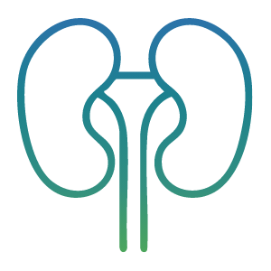 Gradient Kidney Icon