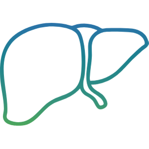 Gradient Liver Icon