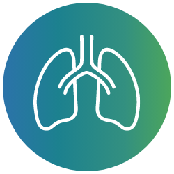 Lung RFA Icon